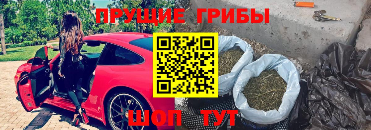 Псилоцибиновые грибы GOLDEN TEACHER  Вход с VPN  Тобольск  Галлюциногенные грибы Magic Shrooms 